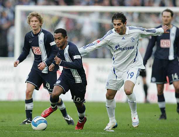 提供了极大 提供了极大